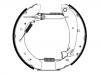 Brake Shoe Set:4241.4X