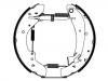 Brake Shoe Set:4241.4V