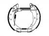 Brake Shoe Set:4241.9F