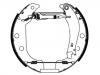 Brake Shoe Set:4241.6E